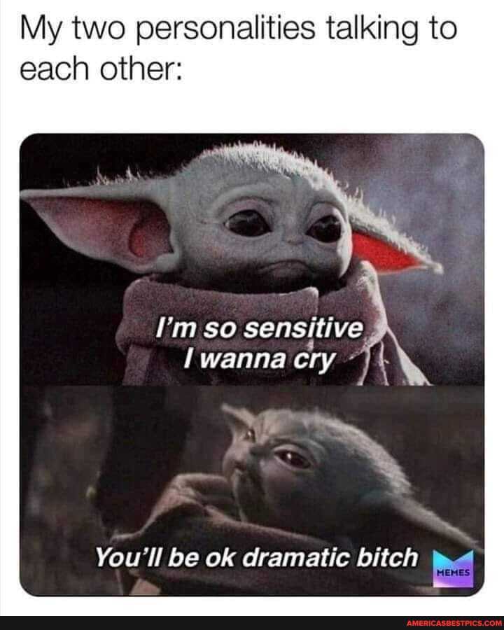 My two personalities talking to each other:
so sensitive.
wanna cry
You li be ok dramatic bitch