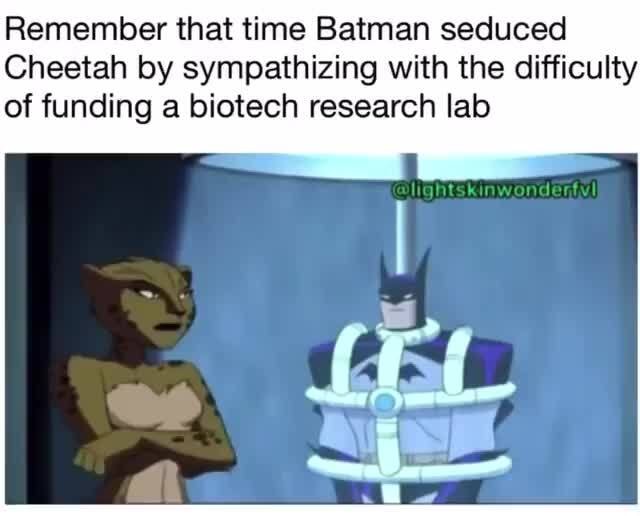 Remember that time Batman seduced Cheetah by sympathizing with the  difficulty of funding a biotech research lab - iFunny Brazil