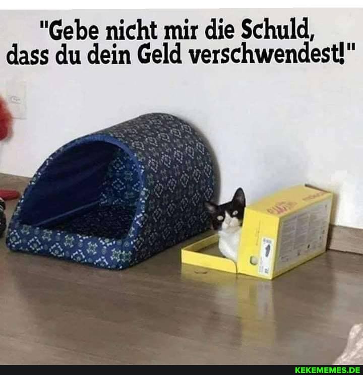 "Gebe nicht mir die Schuld, dass du dein Geld verschwendest!"