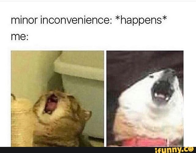 minor inconvenience: *happens* me: