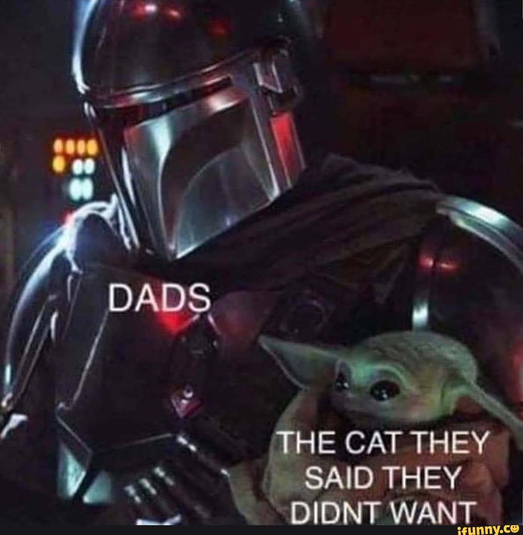 SAID THEY ©
DIDNT WANT
THE CAT THEY