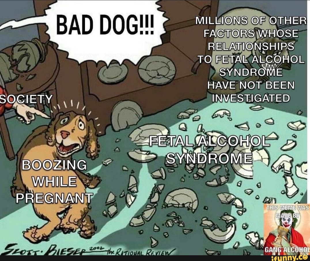 Fetalabcohol memes. Best Collection of funny Fetalabcohol pictures on