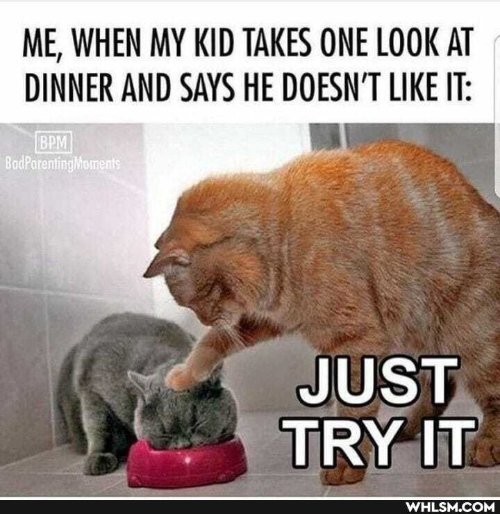 ME, WHEN MY KID TAKES ONE LOOK AT DINNER AND SAYS HE DOESN'T LIKE IT:
JUST
TRY IT