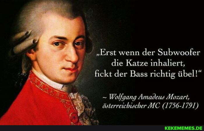Erst Wenn Der Subwoofer Die Katze Inhaliert