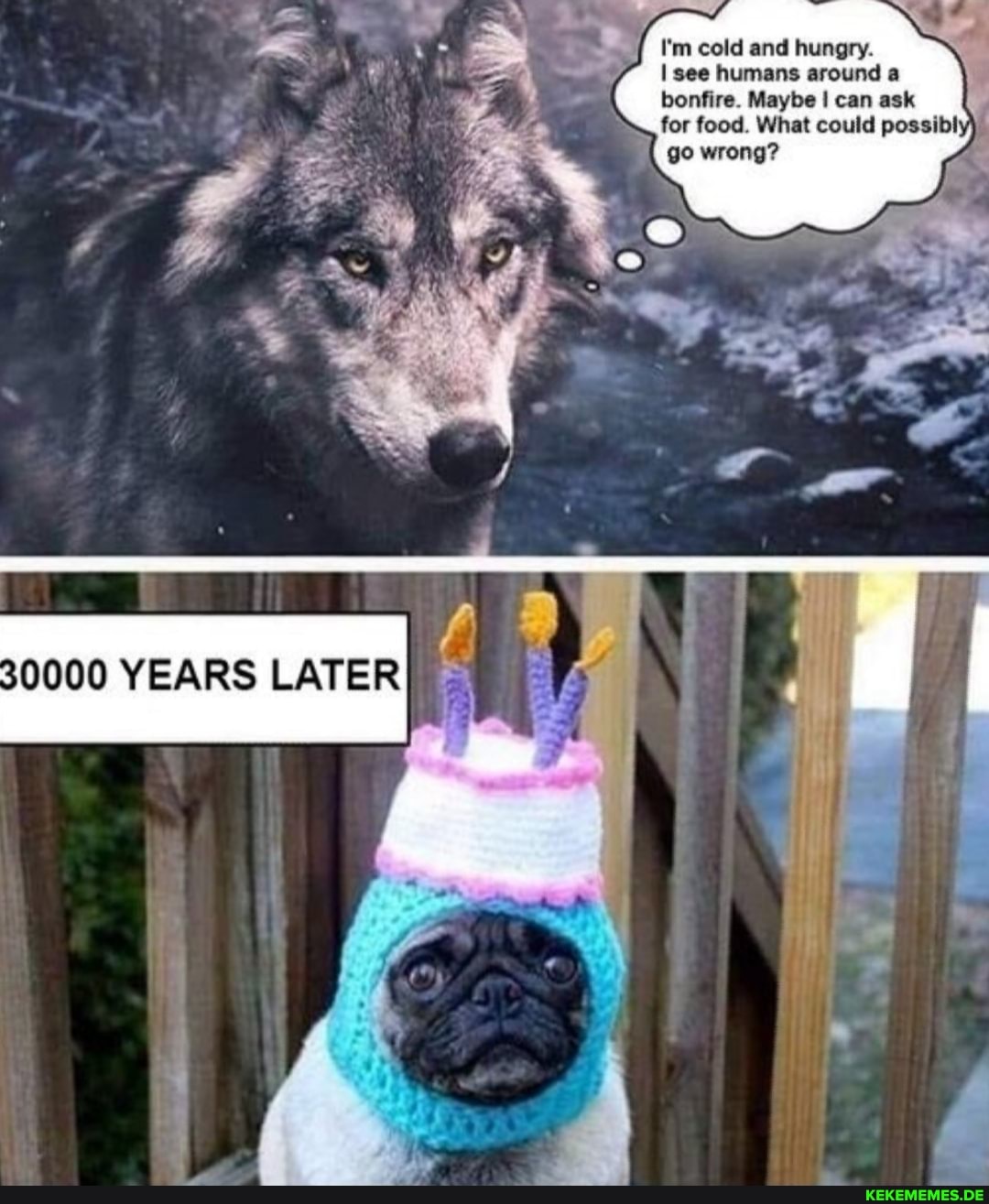 I'm cold and hungry.
see humans around a
bonfire. Maybe I can ask for food. What could possibl: go wrong?
30000 YEARS LATER