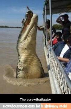 The screwthatigator