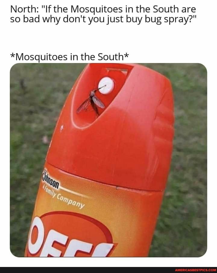 North: "If the Mosquitoes in the South are so bad why don't you just buy bug spray?"
*Mosquitoes in the South*