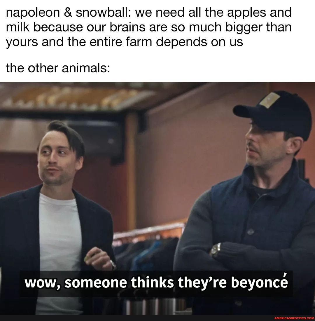 Happy friday to everyone except snowball and napoleon 😠🐷 #sparknotes # ...