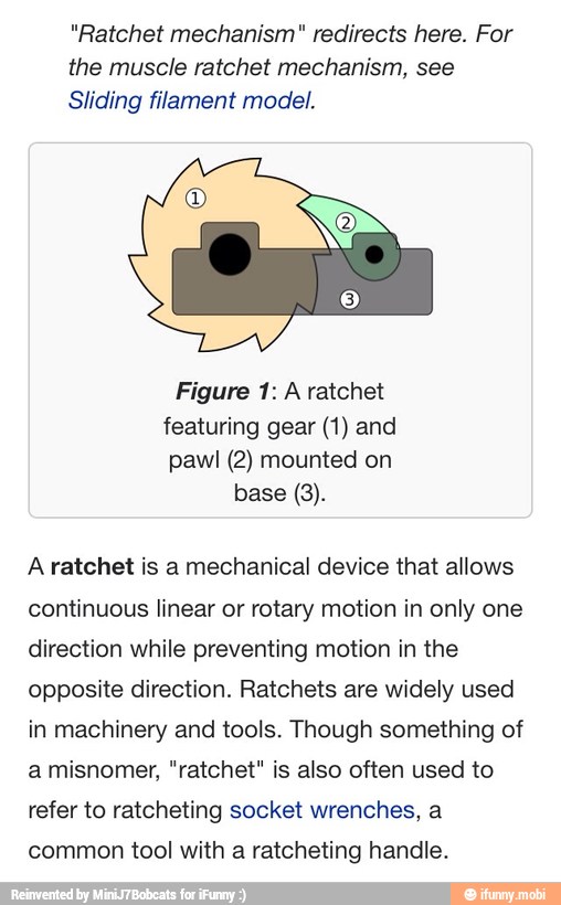 "Ratchet mechanism" redirects here. For the muscle ratchet mechanism