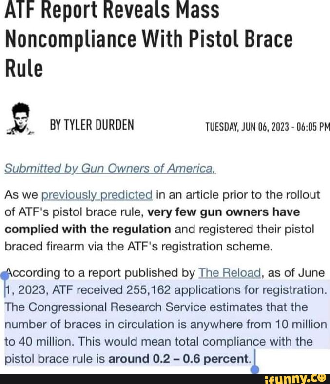 AlF Report Reveals Mass Noncompliance With Pistol Brace Rule BY TYLER ...