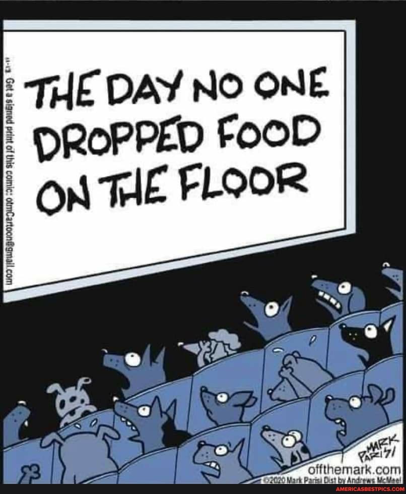 THE DAY No ONE DROPPED FOOD ON THE FLOOR