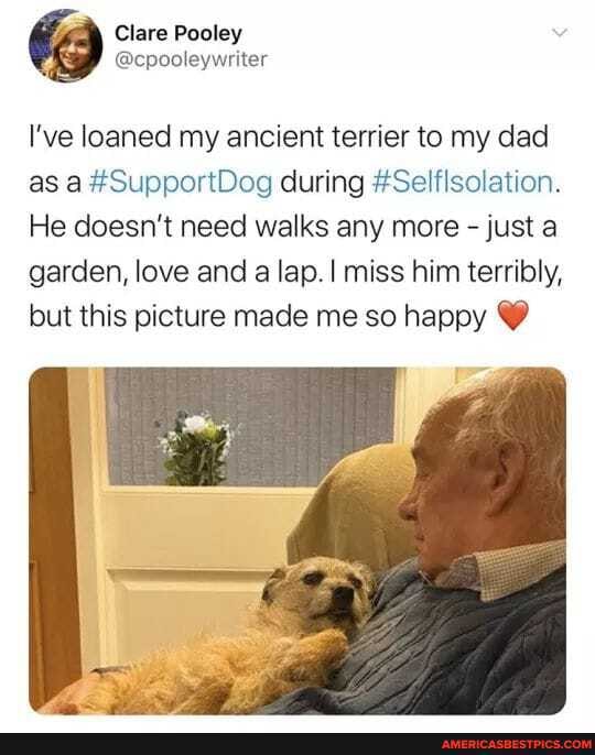 Clare Pooley
I've loaned my ancient terrier to my dad
as #SupportDog during #Selflsolation.
He doesn't need walks any more - just a garden, love and a lap. I miss him terribly, but this picture made me so happy