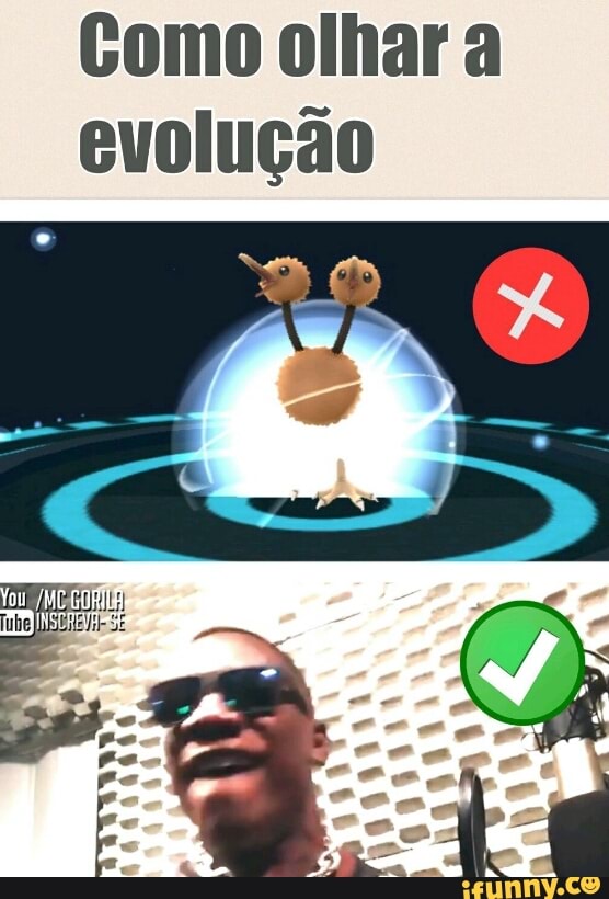 Como olhar a
evolução