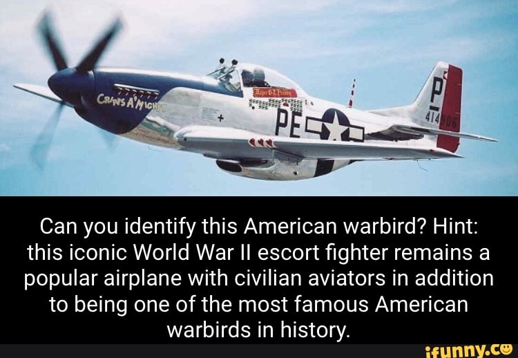 Can you identify this American warbird? Hint: this iconic World War Il ...