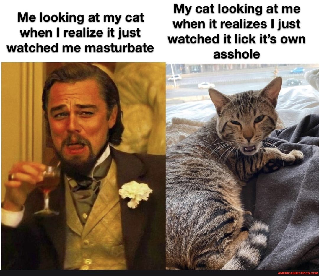 My cat looking at me when it realizes I just watched it lick it's own asshole
Me looking at my cat when I realize it just watched me masturbate