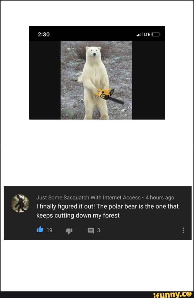 Internet Access ago
I finally figured it out! The polar bear is the one that
keeps cutting down my forest