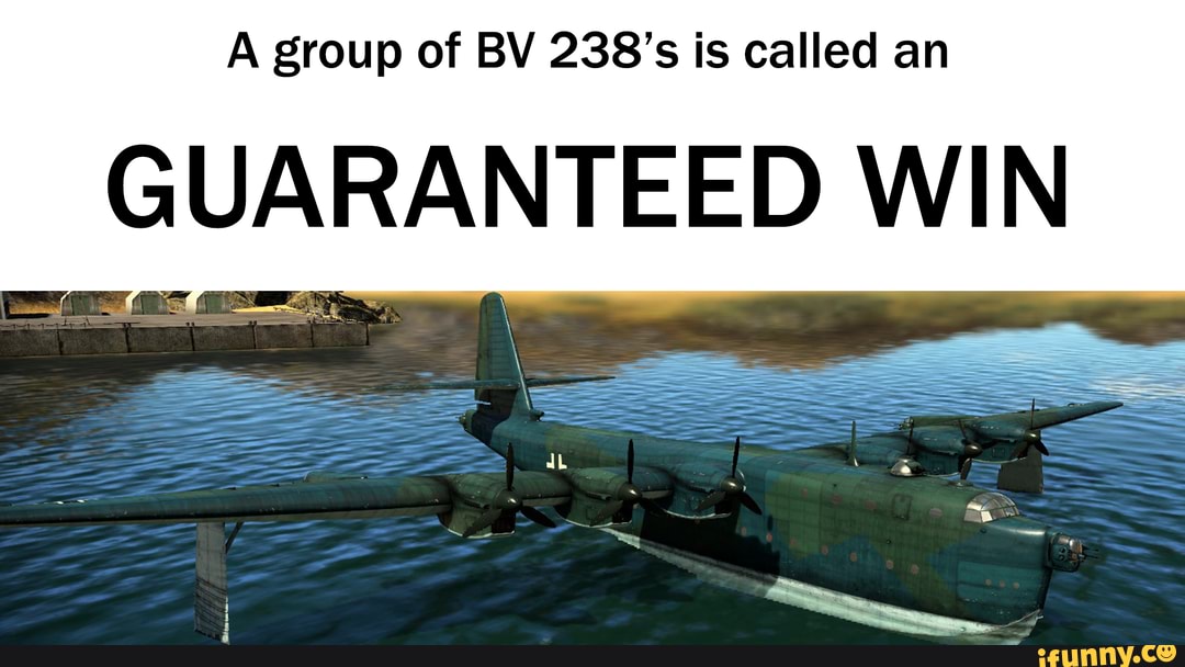 A group of BV 238's is called an
GUARANTEED WIN