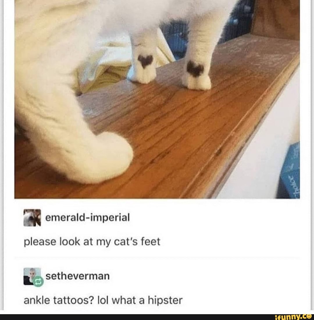 please look at my cat's feet
setheverman
ankle tattoos? lol what a hipster
