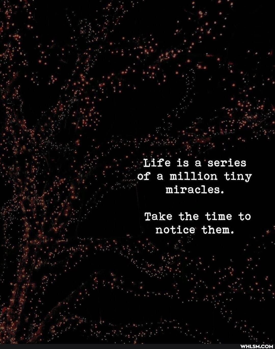 Life is a'series of a million tiny miracles.
Take the time to notice then.