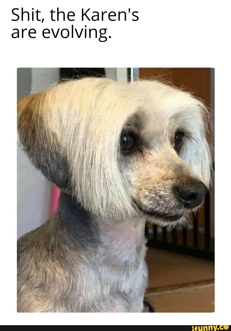 Shit, the Karen's
are evolving.