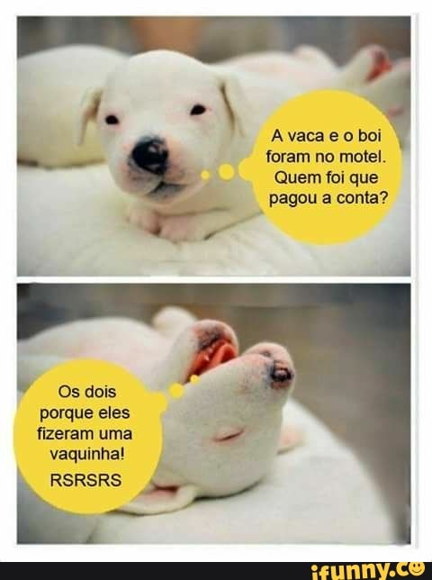 A vaca e o boi
do Eua Rute AR
porque eles