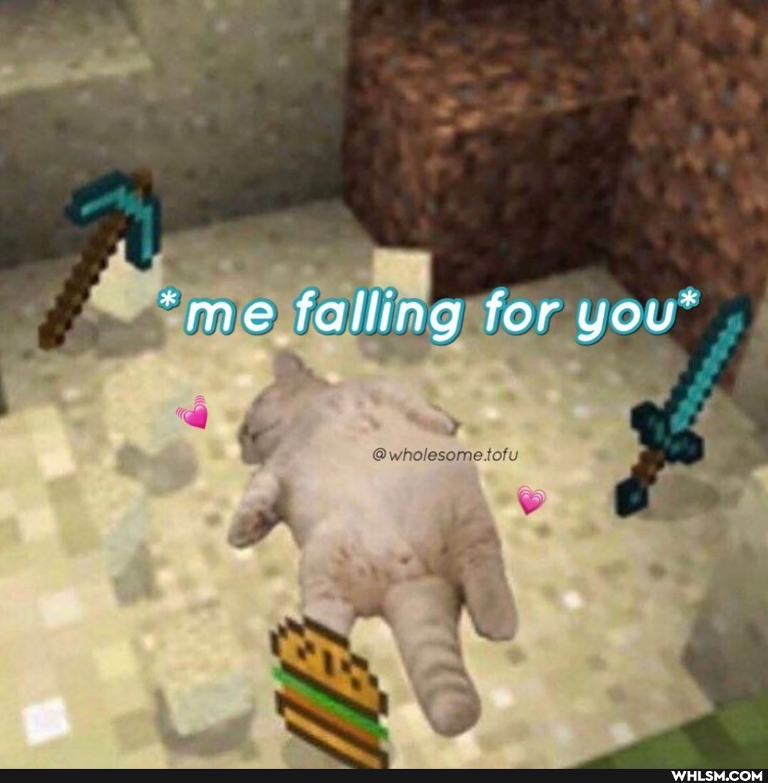*me falling for you"
@wholesomesofu