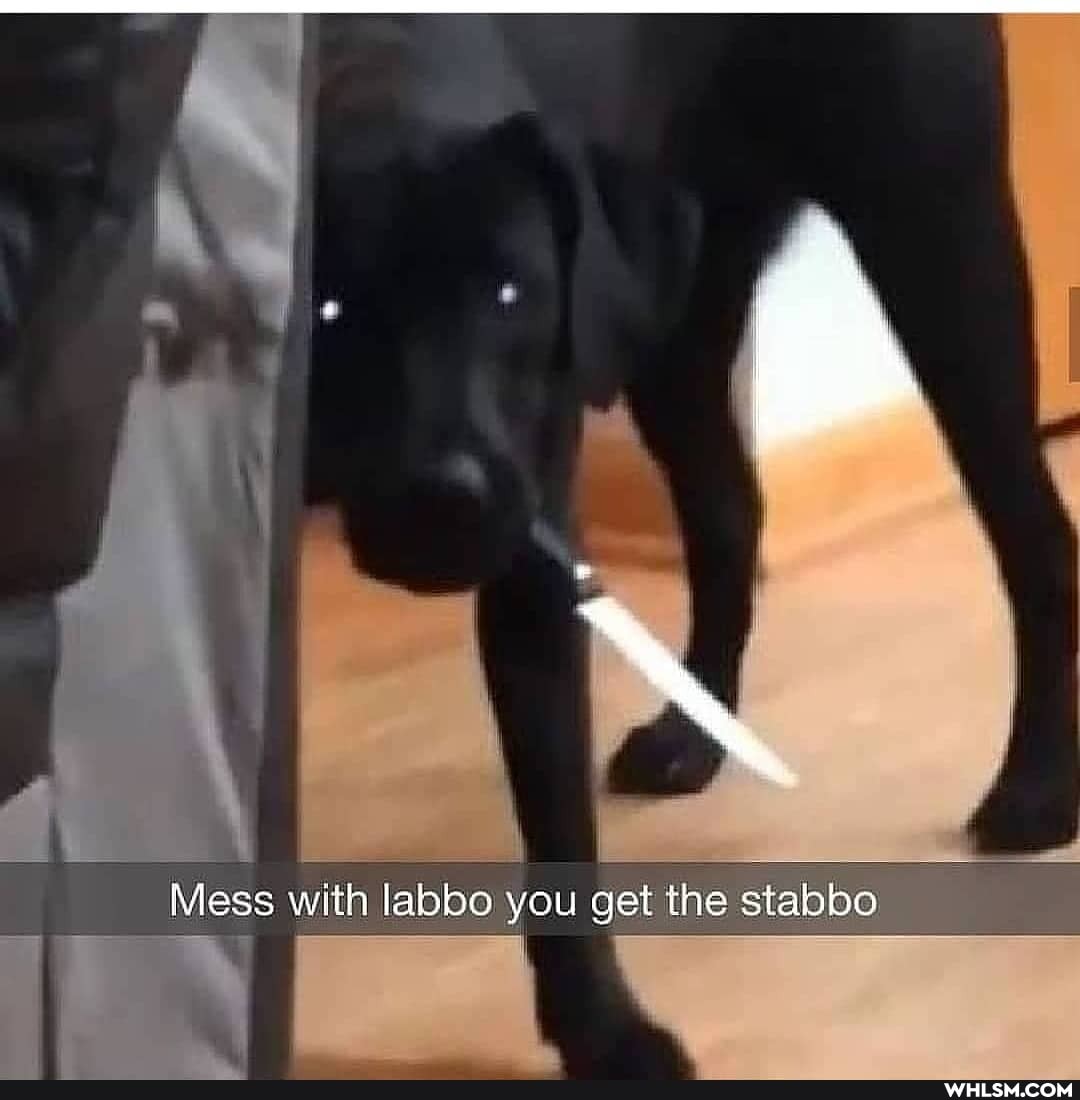 Mess with abbe you get the stabbo