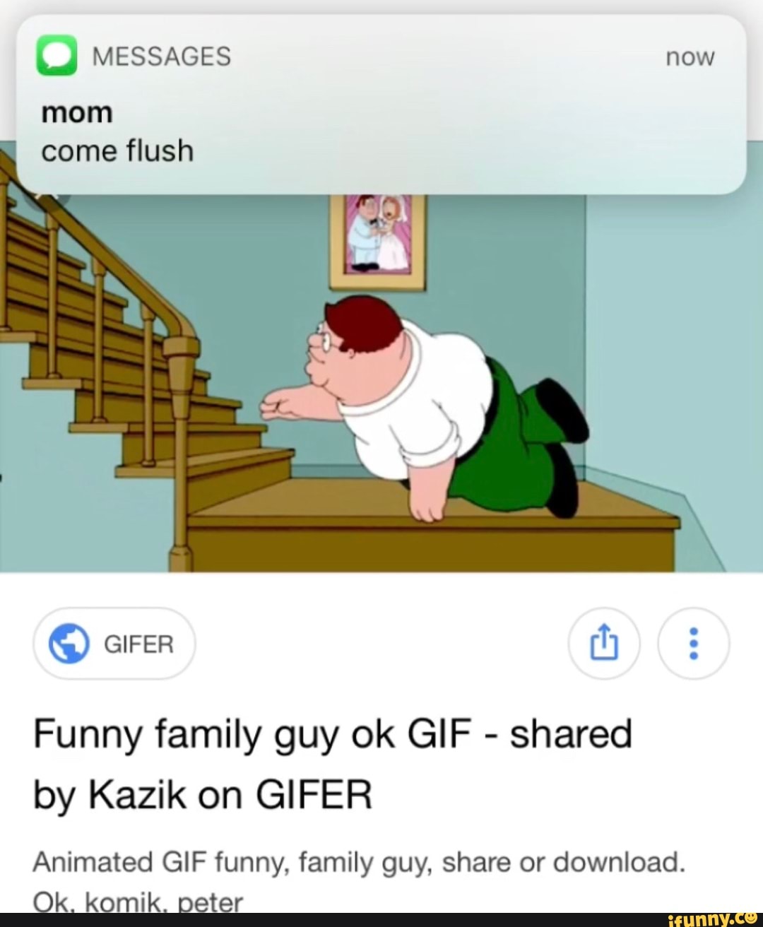 U Messages Now Mom Come Flush Funny Family Guy Ok Gif Shared By