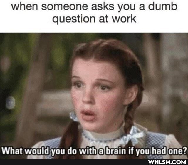 when someone asks you a dumb question at work
What would do withlalbrain if vou had ane?