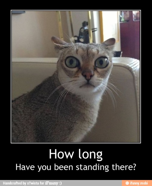 How long
Have you been standing there? - How long
Have you been standing there?