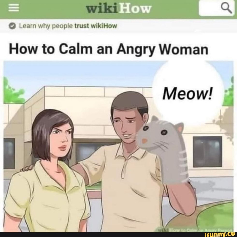 wiki-learn-why-people-trust-wikihow-how-to-calm-an-angry-woman-meow