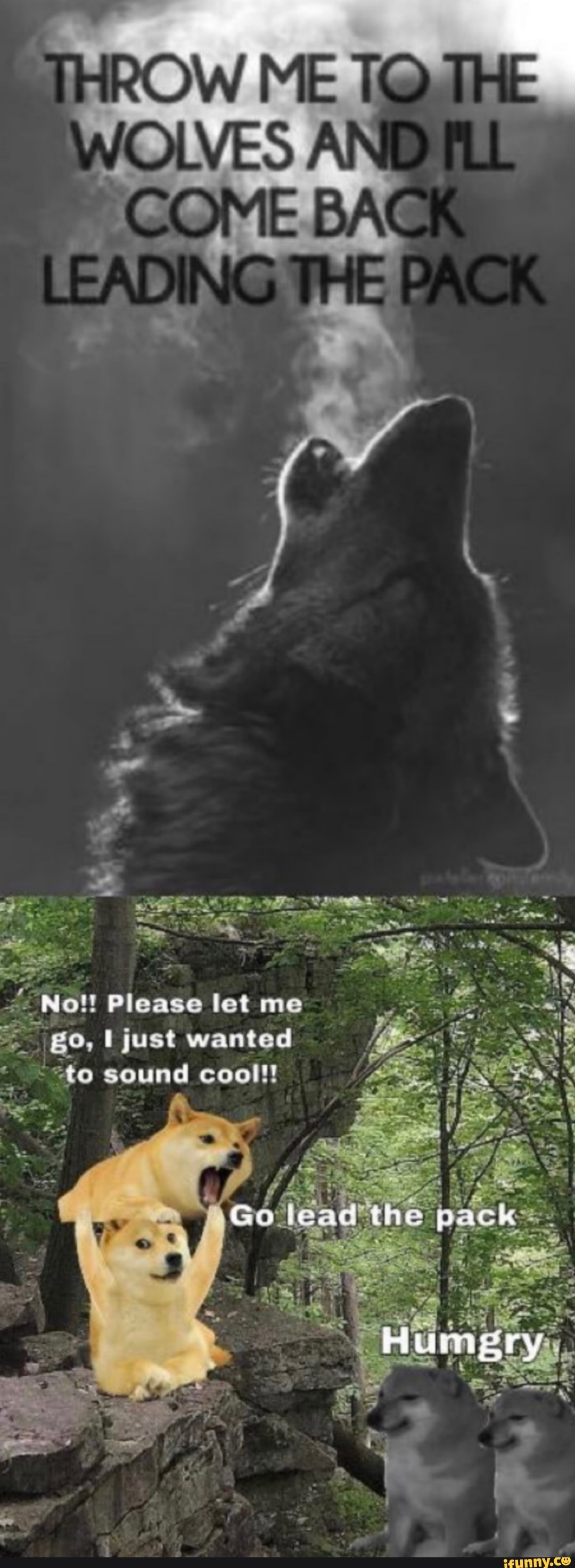 /No! Please let me
go, just wanted
=to sound cool!!
