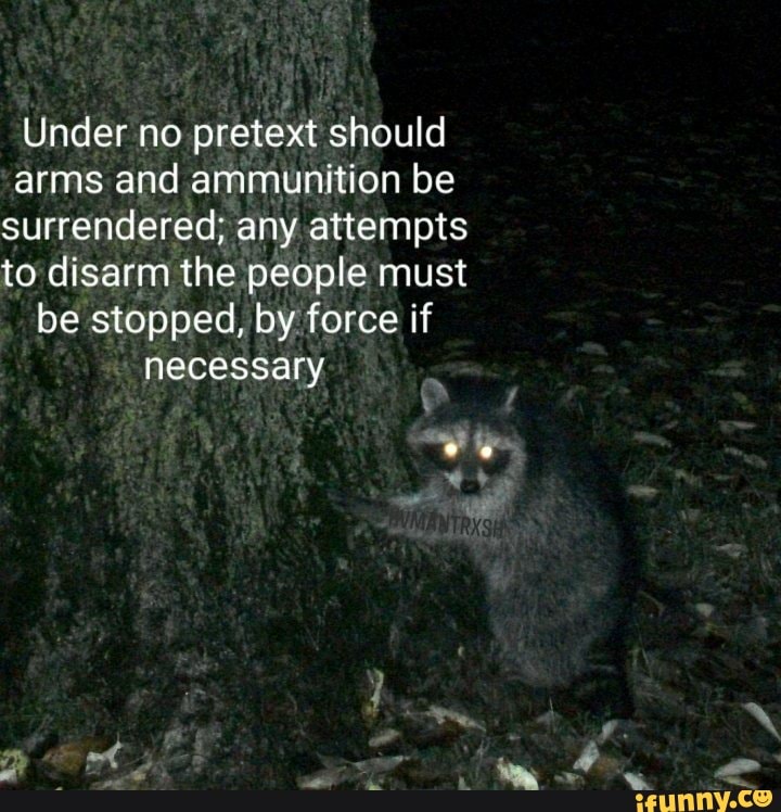 Under no pretext should arms and ammunition be surrendered; any attempts to disarm the people must be stopped, by force if necessary
ot