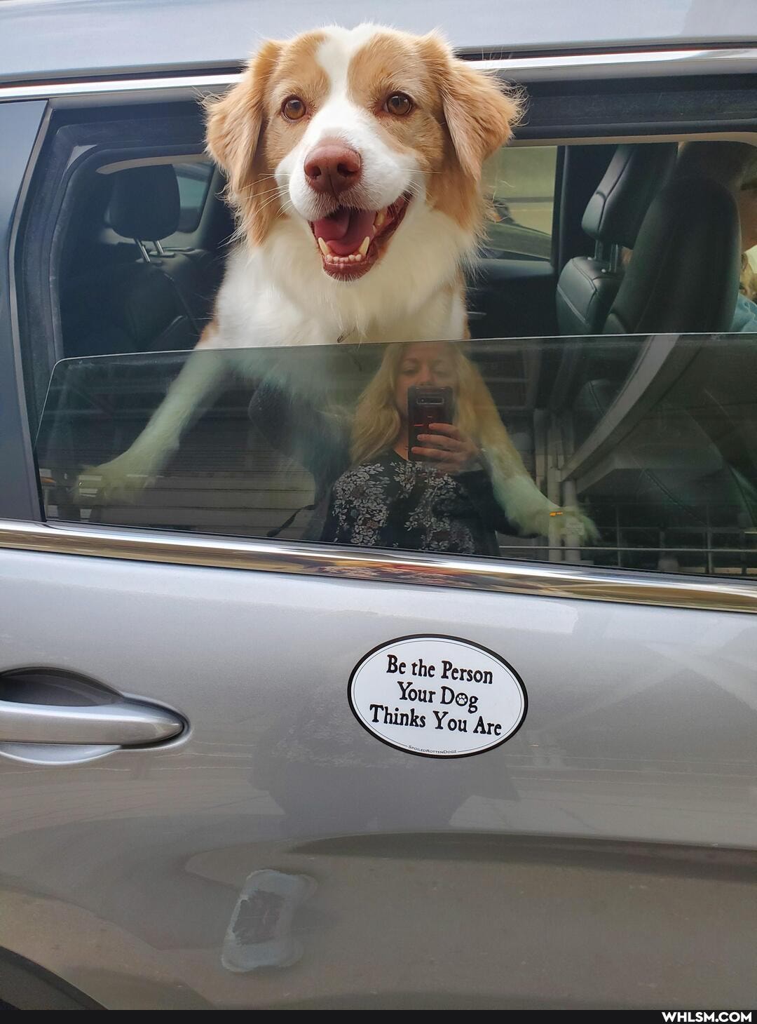 Be the Person
Your Dog
Thinks