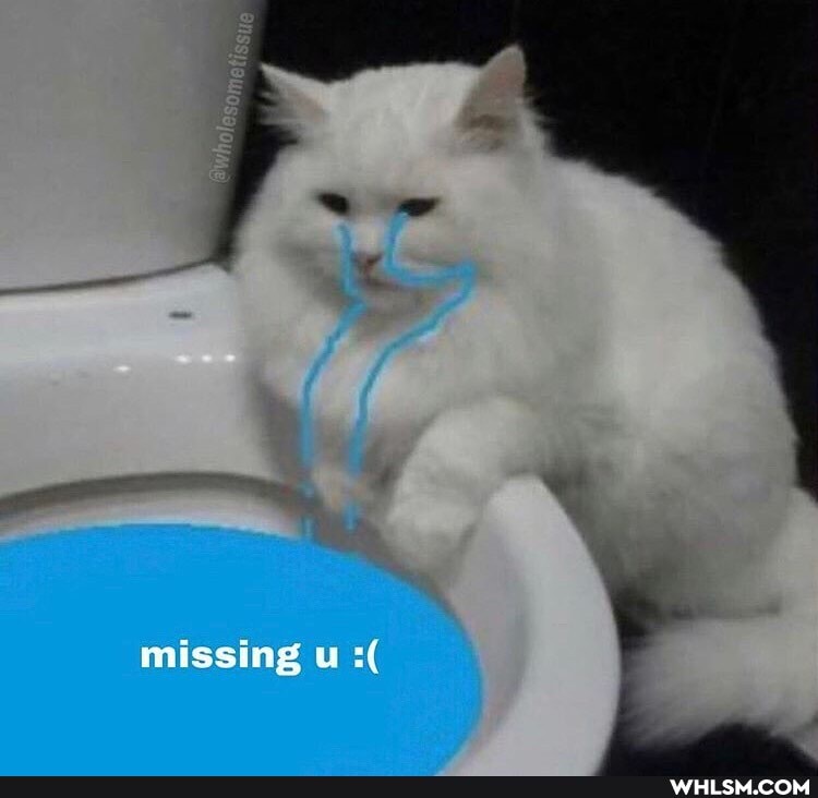 missing s(