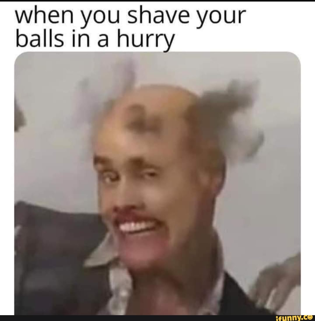 Shavedballs memes. Best Collection of funny Shavedballs pictures on iFunny