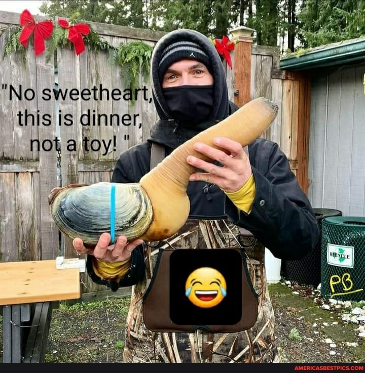 "No
this is dinner,