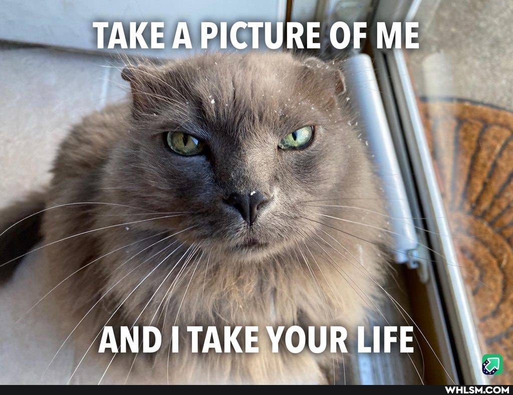 TAKE A PICTURE OF ME
AND TAKE YOUR LIFE \