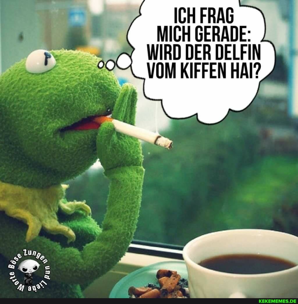 MICH GERADE:
WIRD DER DELFIN VOM KIFFEN HAI?