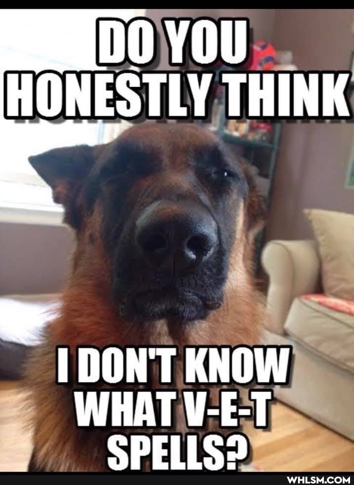 DO YOU HONESTLY THINK
DON'T KNOW WHAT VET CPELISA