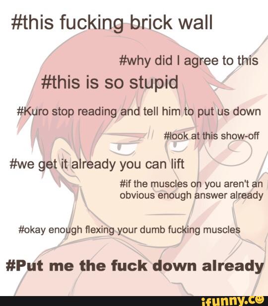 #this fucking brick wall
#why did I agree to this
#this is so stupid
#Kuro stop reading and tell him to put us down
#we get it already you can lift
#if the muscles on you aren't an
obvious enough answer already
#okay enough flexing your dumb fucking muscles
#Put me the fuck down already