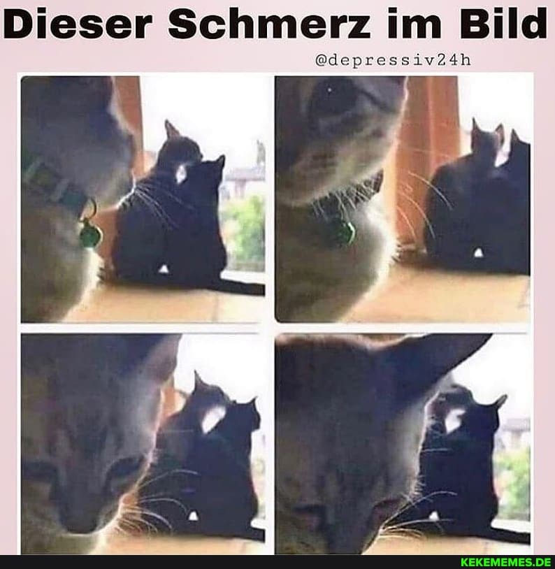 Dieser Schmerz im Bild
@depressiv24h