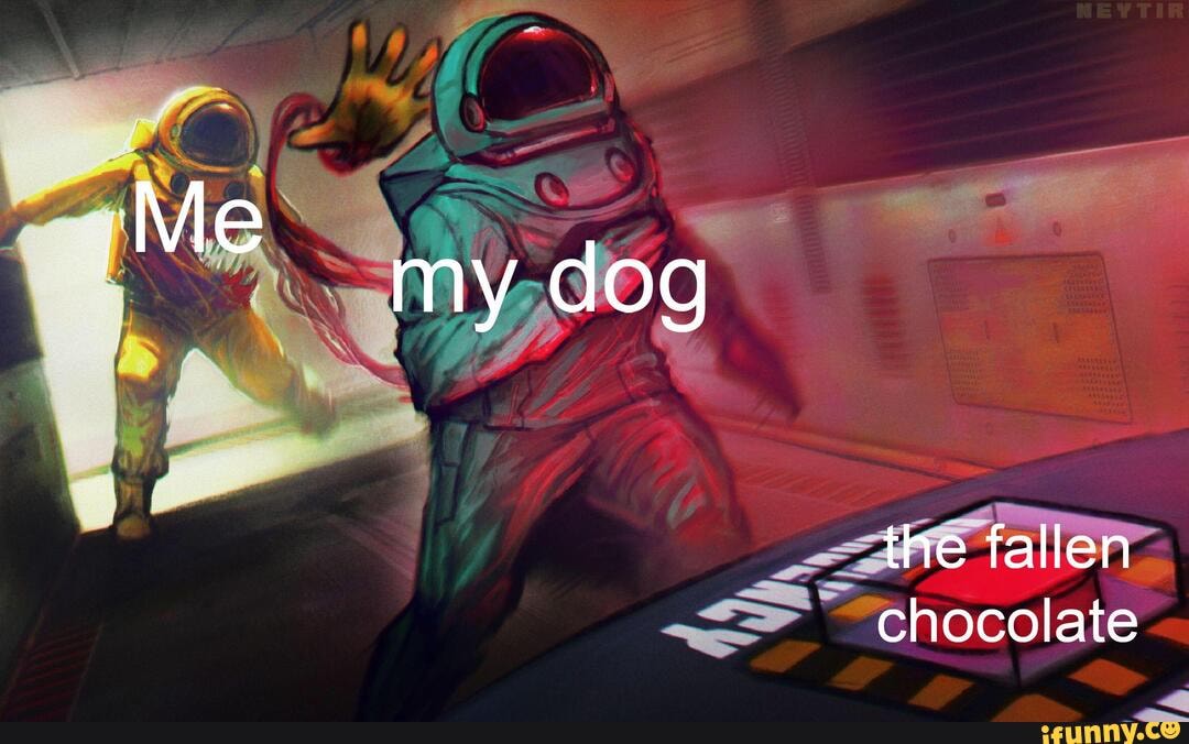 'Me
my dog
the fallen chocolate