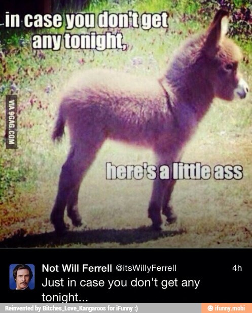 Not Will Ferrell @itsWillyFerrell
Just in case you don't get any
tonight.