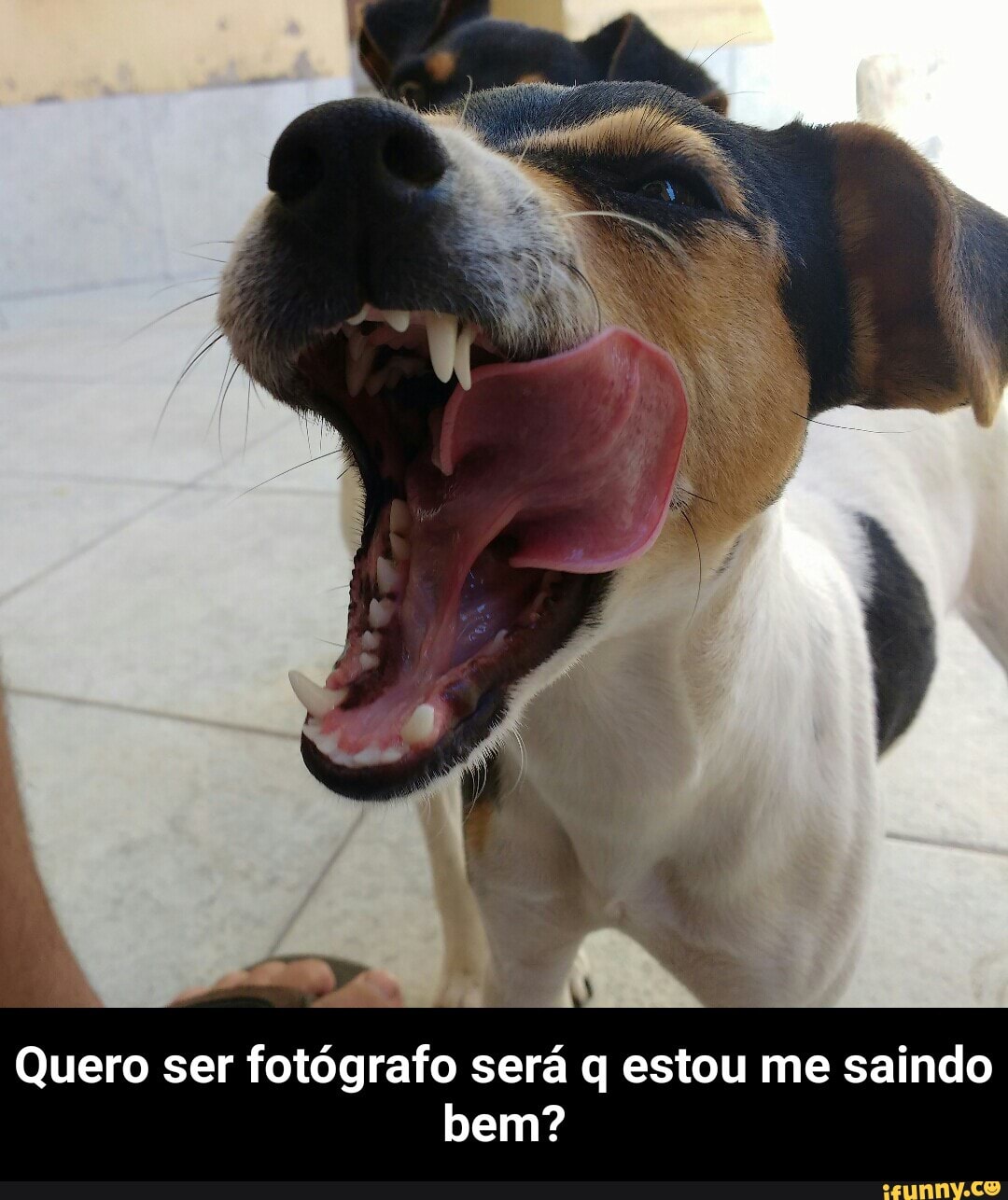 Quero ser fotógrafo será q estou me saindo
bem? - Quero ser fotógrafo será q estou me saindo bem?