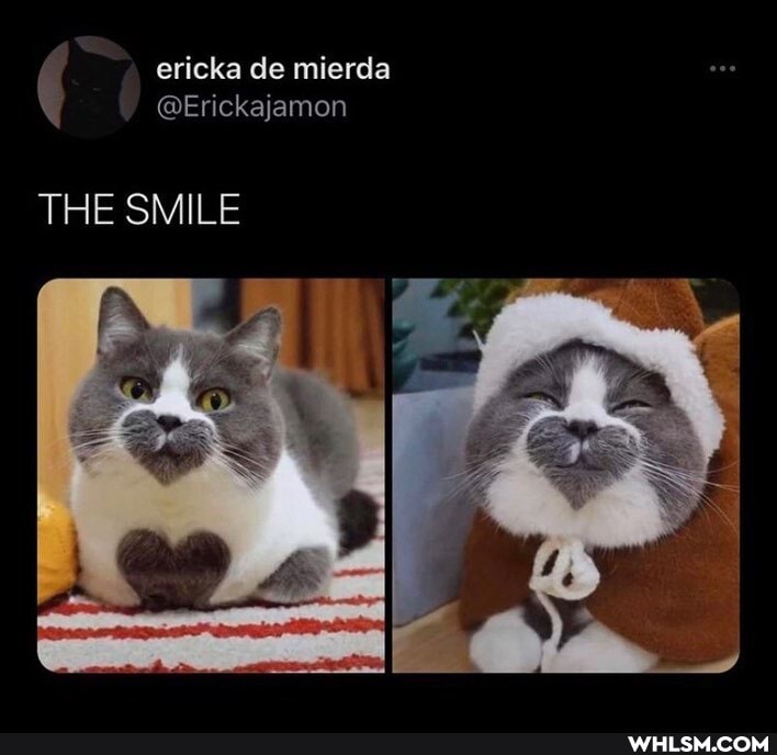 ericka de mierda