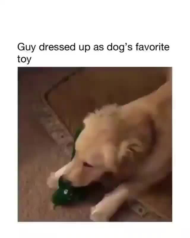 Guy dressed up as dog's favorite toy )