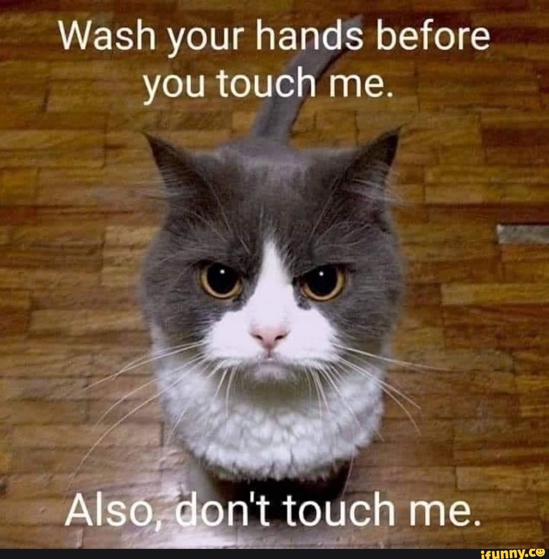 Wash your hands before you touch me. - iFunny