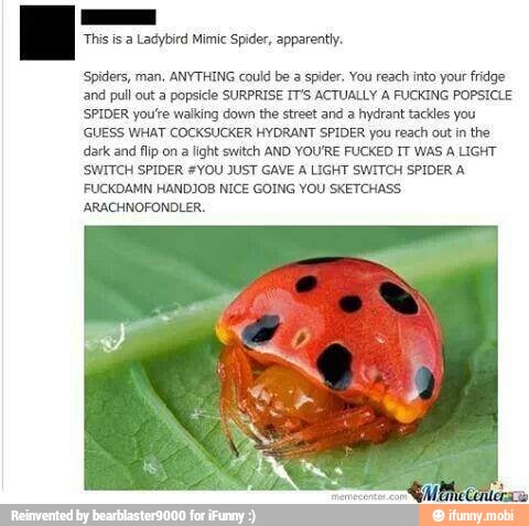 This is a Ladybird Mimic Spider, apparently.
Spiders, man. ANYTHING could be a spider. You reach into your fridge
and pull out a popsicle SURPRISE IT'S ACTUALLY A FUCKING POPSICLE
SPIDER you're walking down the street and a hydrant tackles you
GUESS WHAT COCKSUCKER HYDRANT SPIDER you reach out in
the
dark and flip on a light switch AND YOU'RE FUCKED IT WAS A LIGHT
SWITCH SPIDER #YOU JUST GAVE A LIGHT SWITCH SPIDER A
FUCKDAMN HANDJOB NICE GOING YOU SKETCHASS
ARACHNOFONDLER.
