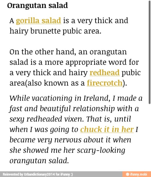 Orangutan salad
A is a very thick and
hairy brunette pubic area.
On the other hand, an orangutan
salad is a more appropriate word for
a very thick and hairy pubic
area(also known as a While vacationing in Ireland, I made a
fast and beautiful relationship with a
sexy redheaded vixen. That is, until
when I was going to I
became very nervous about it when
she showed me her scary-looking
orangutan salad.